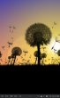 Dandelions (живые обои Одуванчики)