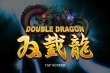 Double Dragon (Двойной Дракон)