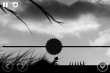 Person: The History (платформер в стиле Limbo)