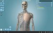 Anatomy 3D (анатомия человека)